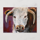 Suche nach longhorns postkarten Langhorn