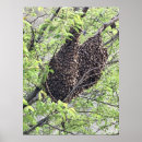 Recherche de écran posters Nature