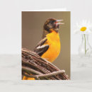Recherche de baltimore vœux cartes Nature