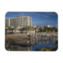 Suche nach israeli magnete Mittel