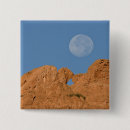 Suche nach der colorado buttons Jaynes galerie
