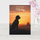 Recherche de mélange de chien Labradoodle