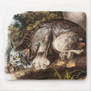 Recherche de le canada tapis souris Faune