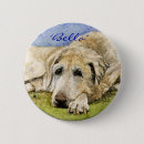 Recherche de labrador badges Aquarelle