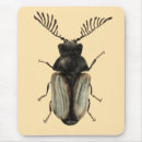 Recherche de entomologie tapis souris Zoologie