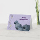 Suche nach papageien karten Dad