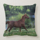 Recherche de pur sang coussins Position