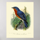 Suche nach viktorianische ostern poster Vintag