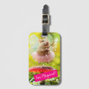 Recherche de féerique accessoires Humour