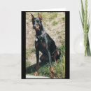 Suche nach pincher karten Hund