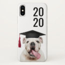 Recherche de american bulldog Animaux domestiques