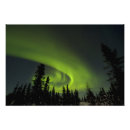 Suche nach aurora borealis poster Silhouette