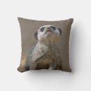 Recherche de suricates coussins Animaux