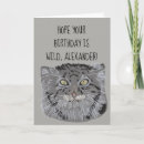 Suche nach cats karten Für kinder