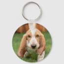 Recherche de basset hound porteclés Chiot