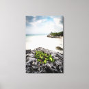 Suche nach tulum leinwandbilder Strand
