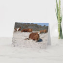 Suche nach assateague karten Natur