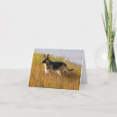 Suche nach gezüchtet karten Hund