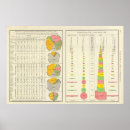 Suche nach agriculture poster States