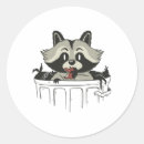 Suche nach leckerbissen aufkleber Waschbär