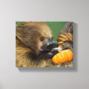 Suche nach trägheit kunst Smithsonian