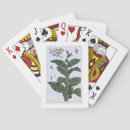 Suche nach gemüse spielkarten Pflanze