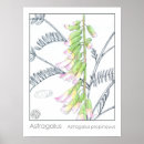 Recherche de fleur chinoise posters Toute personne