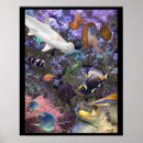 Suche nach sea life poster Ozean