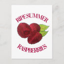 Recherche de framboise cartes postales Illustration