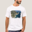Recherche de plage rocheuse Falaise