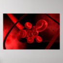 Suche nach zellbiologie poster Molekularbiologie