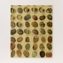 Recherche de croquis puzzles Coquillages
