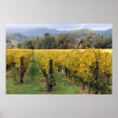 Suche nach napa poster Weinland