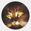 Suche nach katzenaugen aufkleber Kätzchen