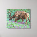 Suche nach elch leinwandbilder Geweihe