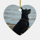 Suche nach schwarze schafe ornamente Schäfer