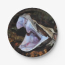 Suche nach giftige tiere Reptilien