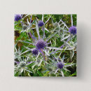 Recherche de sauvagerie badges Fleurs sauvages