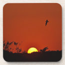 Suche nach sonnenuntergänge untersetzer Orange