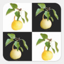 Recherche de vitamine c autocollants Frais