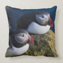 Suche nach puffins kissen Tier