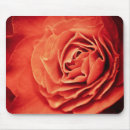 Recherche de amour vivant tapis souris Fleur