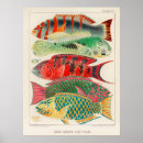Suche nach fische poster Retro