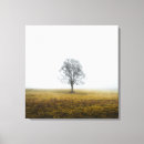 Recherche de arbres brumeux Paysage
