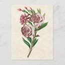 Suche nach gardenia poster Natur