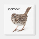 Suche nach spatz magnete Vögel