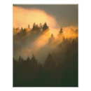 Recherche de renouvelable art Paysage