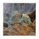 Suche nach die eidechse fliesen Eidechsen