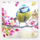 Recherche de joli oiseau autocollants Printemps