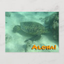 Suche nach hawaii schildkröten postkarten Strand